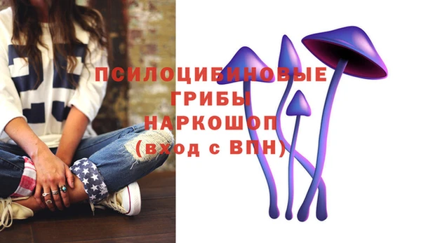 прущая мука Вязники