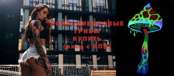 ALPHA-PVP Вяземский