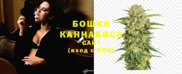 гашик Вязьма
