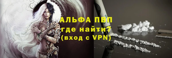 гашик Вязьма