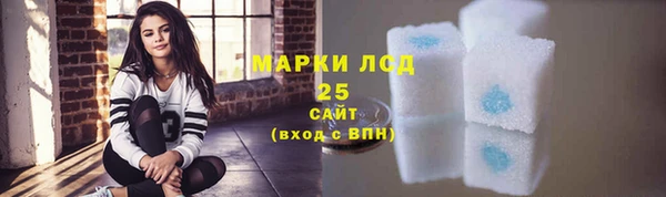 гашик Вязьма