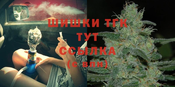 гашик Вязьма