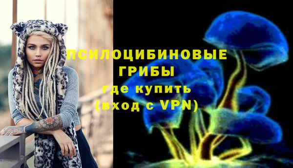 прущая мука Вязники